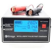 Etrogo Caricabatteria Auto 12V 24V 10A 250W Caricatore di Impulsi  Intelligente con Funzione di Rilevamento Automatico Riparazione  Manutenzione con ...