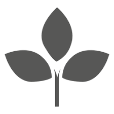 Plant Icon Plant Icon Icon Graphic Image