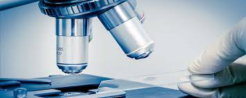 But how do you know which risk factors. Health Screening Test Harley Street Medical Centre Private Gp London