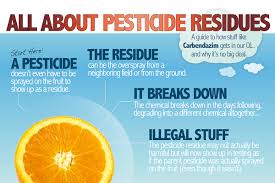 The langer juice provider owns this particular brand. 125 Best Juice Company Names Brandongaille Com