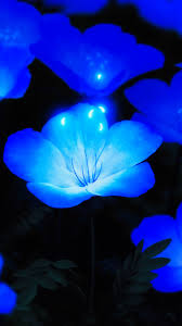 Glowing Blue Flowers 4k 8k Wallpapers Hd Wallpapers Id 29358 Choose from over a million free vectors, clipart graphics, vector art images, design templates, and illustrations created by artists worldwide! glowing blue flowers 4k 8k wallpapers