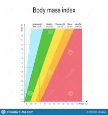 Body Mass Index Bmi Weight Height Chart Stock Vector