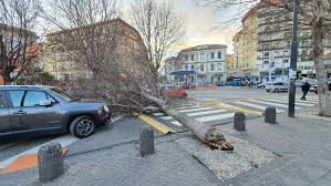 Homeviabilitàmaltempo a napoli, chiusa la stazione di garibaldi. Foto Maltempo A Napoli Il Vento Fa Cadere Alberi In Diversi Punti Della Citta