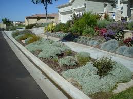 Parking Strip Snow In Summer Front Yard Landscaping Diy Sidewalk Landscaping Front Garden Design