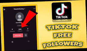 Www Hack Code Tiktok Followers In 2020 How To Get Followers Free Followers Free Followers On Instagram