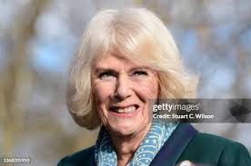 343 The Duchess Of Cornwall Visits Battersea Dogs Cats Home Photos & High  Res Pictures