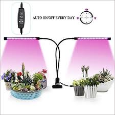 Check spelling or type a new query. Led Grow Lights Auto On Off Every Day Two Way Timer 20w S Https Www Amazon Com Dp B07gp23rzm Ref Cm Sw R Pi Dp U X Mf Led Grow Lights Grow Lights Led Grow