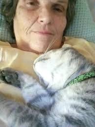 Thanksgiving was going great until a family member started talking about  healing the planet. I said we'll never heal the planet we're