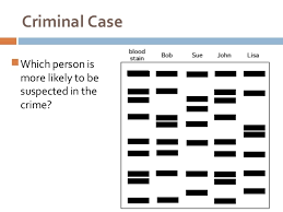 Biotechnology Dna Fingerprinting