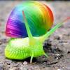 Https Encrypted Tbn0 Gstatic Com Images Q Tbn And9gcrjec0wd1xj9pgrptphmtdc1kdhhlsgdzk57tngm1yv3ott Rgy Usqp Cau