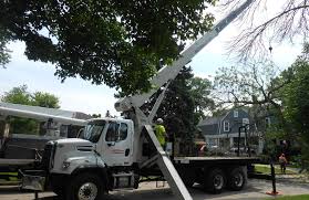 Free Free 264 Tree Trimmer Bucket Truck Svg SVG PNG EPS DXF File