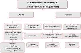 Crossing The Blood Brain Barrier With Nanoparticles Sciencedirect