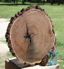 Pin On Tricia16designs