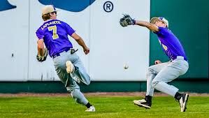 Livingston County high school baseball preview