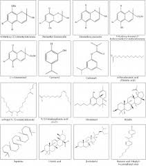 Image result for Blepharispermum