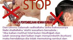 Tafsir mimpi memotong rambut belakang sesuatu yang kurang baik, primbon mengisyaratkan bahwa pasangan anda mungkin sedang bermaksud untuk menduakan anda. Hikmah Penting Larangan Memotong Kuku Rambut Memasuki Bulan Dzulhijjah Jelang Idul Adha 2019 Halaman All Tribun Mataram