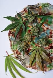 How to use a weed grinder. Vetements Is Making Weed Grinders Vogue