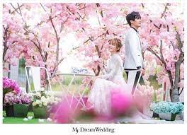 My dream wedding samantha bridal ktn. Pin By My Dream Wedding On Jb Korean Studio Fruit Grapes