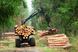 Buy quality firewood and logs online from anglia firewood. Firewood For Sale Lincoln Lincolnshire East Midlands