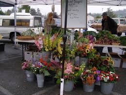 Minneapolis farmers market nicollet mall market ebt / snap / fmnp market rules. Photo Contest Winners