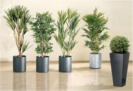 Lo has intentado varias veces, pero nada, no hay manera de que les pilles el truco. Decoration42 Decoracion Con Plantas Artificiales