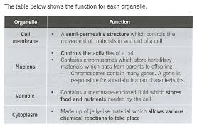 We did not find results for: Biology Tuition Singapore Secondary Science Tuition Each Organelle Function Animal Cell One Tuition Place
