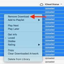 Remove All Downloads From Itunes But Keep Them In Icloud Ask Different