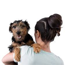 We did not find results for: Pet Express Iata Compliant Dog Cat Crates For Air Travel