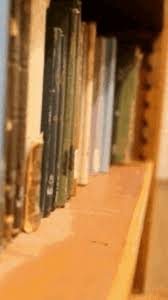 Want to be notified of new releases in melok2/melok? El Verano En Que Mi Madre Tuvo Los Ojos Verdes De Tatiana Å£ibuleac La Novela Que Acompana A Marbel Sandoval Ordonez Wmagazin