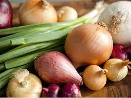 Explaining vegetable families alliums onions garlic and more dave s garden. What Is The Difference Between Onion And Spring Onion And Which Is Healthier The Times Of India