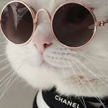  15 Ide Wallpaper Wallpaper Ponsel Langit Malam Latar Belakang