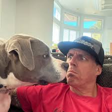 What fluid to use in the transfer case for truck maintenance?