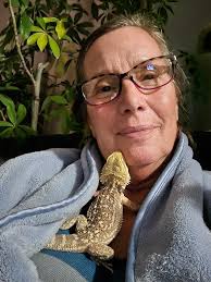 Bearded dragon chirping in the room