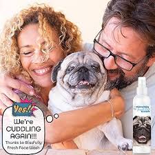 Amazon.com: The Blissful Dog Blissfully Fresh Face Wash