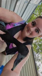 Why does my duck not have hair around his eyes?