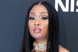Celebrity net worth estimates that the rapper, singer, and songwriter is worth a. Megan Thee Stallion Bio Age Profession Net Worth And Facts Gud Story