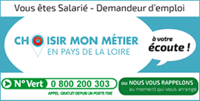 Dispositif Prepa Rebond Envol Formations