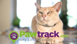 Our cat's been carrying the tracker for three weeks now, and so far, so good. Best Gps Trackers For Cats 2017 Track Your Pet Via Gps Dog Tracker
