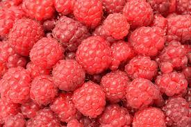 Taking care of red raspberries is a small chore but worth it to be blessed with an abundance of juicy fruit. Raspberries How To Plant Grow And Harvest Raspberries The Old Farmer S Almanac