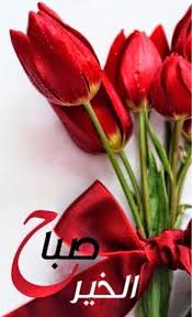 مدونة الزعيم صور صباح الخير جميلة وجديدة احلي صور صباحية good morning arabic good night image good morning photos