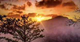 Frances L. Dellinger Obituary 2024