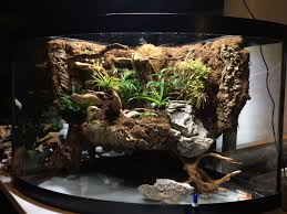 The Paludarium Diy A Work In Progress 2 3 2019 Gecko Vivarium Terrarium Vivarium