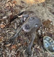 I am continually amazed and...