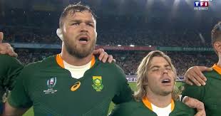 The european molecular biology laboratory (embl) is europe's flagship laboratory for basic research in molecular biology. La Fleur De Protea Plutot Que Le Springbok Sur Le Maillot De L Afrique Du Sud Mais Pourquoi Le Rugbynistere