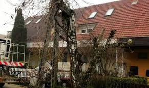 A gyártulajdonos által benyújtott biztonsági jelentés elbírálására közigazgatási eljárás indult. Jelentos Adomany Viruskimutato Keszulekeket Adomanyozott A Bige Holding Csoport Nyiregyhaza Megyei Jogu Varos Portalja Nyiregyhaza Tobbet Ad