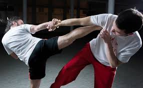 3 Best Martial Arts Classes In Perth Top Rated Martial Arts Classes Martial Arts Kung Fu Book Brazilian Jiu Jitsu