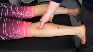 These are the two main muscles in the iliopsoas, which is by far the largest and. Flexor Digitorum Longus Physiopedia