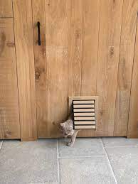 can you see the cat door beautifully integrated part 3 4 cat door pet door cat flap