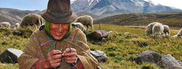Google has many special features to help you find exactly what you're looking for. Ecuador Highights Rundreise 10 Tage Gefuhrte Erlebnisreise