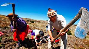 Así como el nacimiento del señor se celebra cada 25 de diciembre, cercano al solsticio de invierno (el día más corto del año), el nacimiento de san juan es el 24 de junio, alrededor del. Dia Del Campesino Por Que Se Celebra El 24 De Junio Tiempo Minero